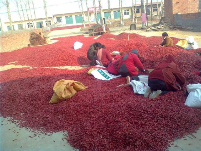 人妻精品久久无码区新狼窝原产地直销/人妻精品久久无码区新狼窝产地供应/人妻精品久久无码区新狼窝最新行情