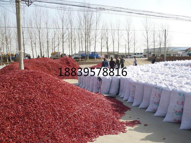 小宝极品内射国产在线产地/小宝极品内射国产在线产地