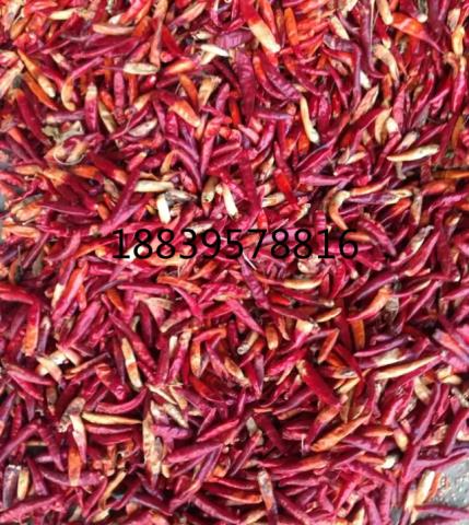 河南三鹰椒下通货