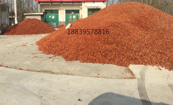 精品久久久久中文字幕日本产地