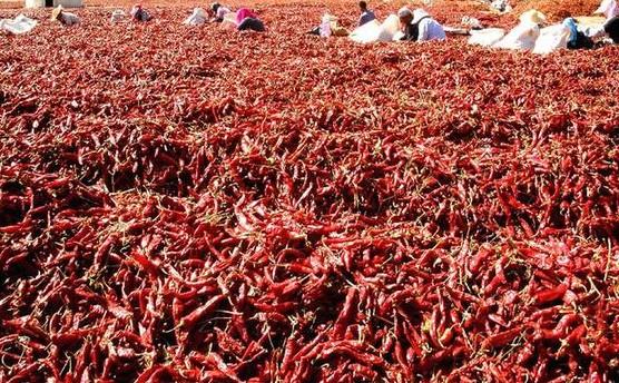 供应：2016小宝极品内射国产在线/小辣椒