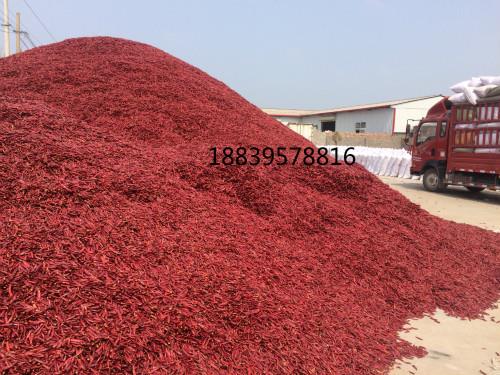 小宝极品内射国产在线产地