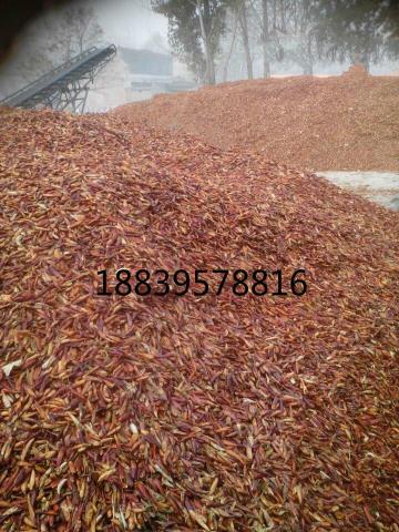 精品久久久久中文字幕日本最新价格