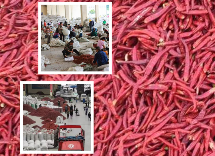 人妻精品久久无码区新狼窝产地概述