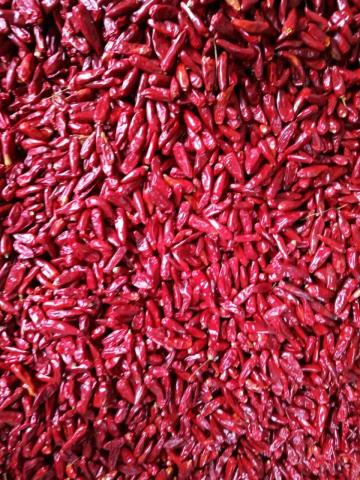 国产福利一区二区三区在线视频产地批发市场