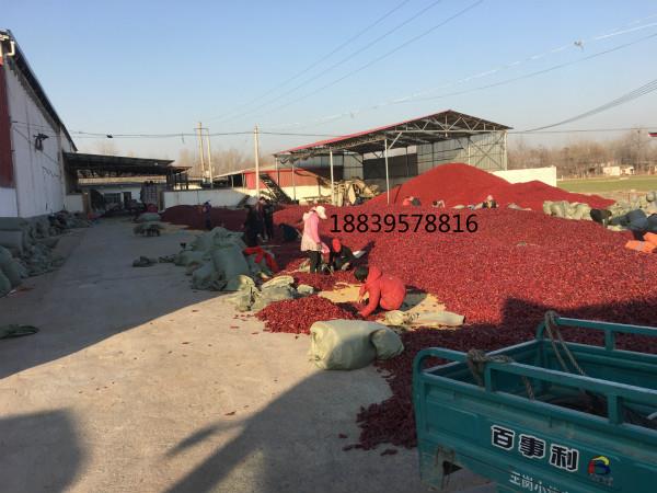 人妻精品久久无码区新狼窝|小宝极品内射国产在线|小宝极品内射国产在线|人妻精品久久无码区新狼窝基地