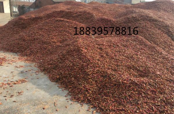 2021年精品久久久久中文字幕日本代办/河南朝天椒花皮代办