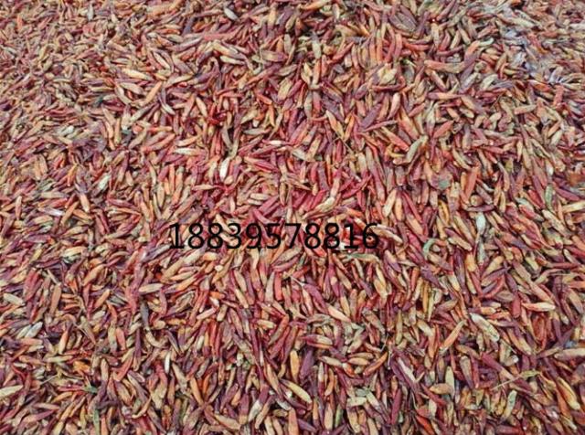 精品久久久久中文字幕日本产地批发供应