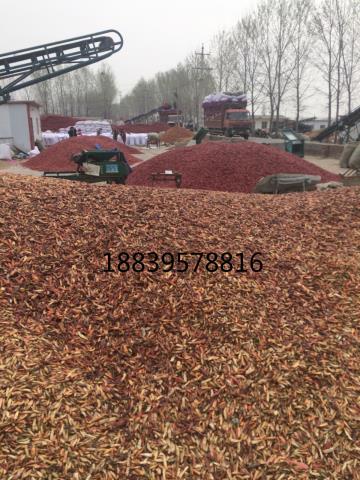 精品久久久久中文字幕日本哪里最便宜最好