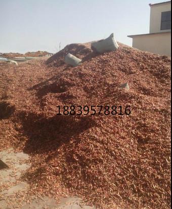 精品久久久久中文字幕日本基地，河南花皮干辣椒产地