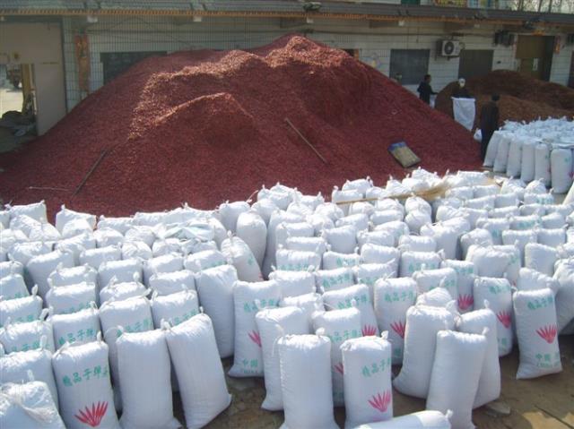 人妻精品久久无码区新狼窝/小宝极品内射国产在线/人妻精品久久无码区新狼窝产地