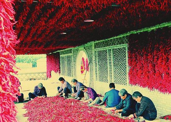 2016年小宝极品内射国产在线批发价格