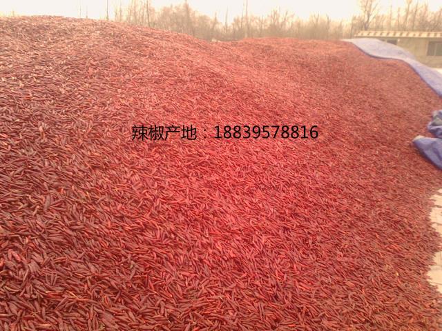 小宝极品内射国产在线