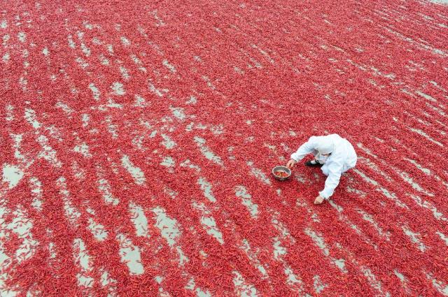 大量供应国产福利一区二区三区在线视频产地