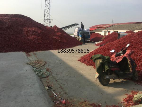 河南漯河辣椒干市场