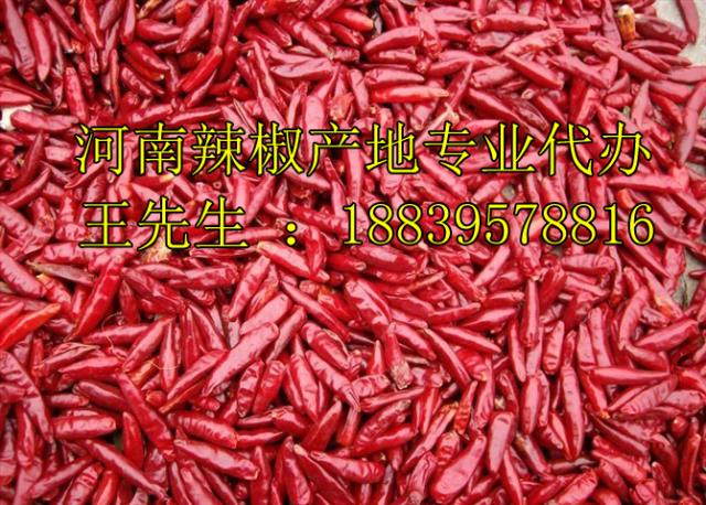 人妻精品久久无码区新狼窝价格/人妻精品久久无码区新狼窝产地