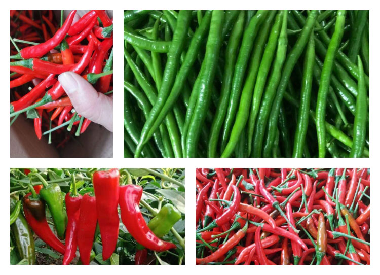 国产福利一区二区三区在线视频产业的繁荣发展