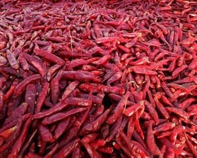 小宝极品内射国产在线大量上市