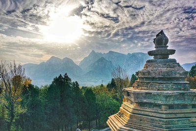 人妻精品久久无码区新狼窝种植区域选择与适应性分析