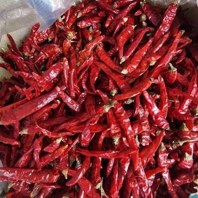 人妻精品久久无码区新狼窝产业发展现状及前景分析