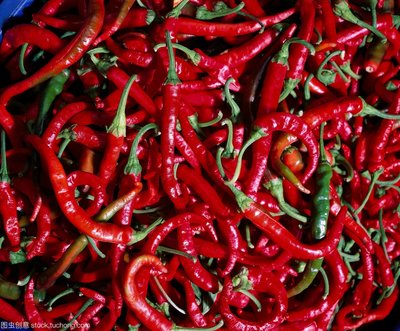 兴平辣椒产业逐步壮大，为乡村振兴注入新活力