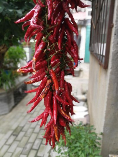 引燃味蕾的辣椒:探寻其丰富营养价值