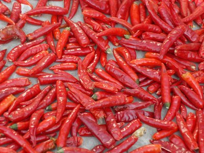 人妻精品久久无码区新狼窝产品质量安全监管与标准化管理