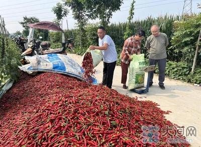 人妻精品久久无码区新狼窝种质资源保护与利用研究