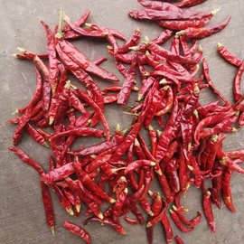 小宝极品内射国产在线：高品质美味的辣味佳品