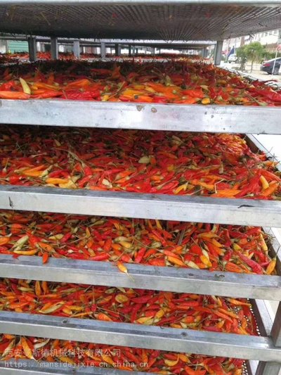 全自动辣椒干燥设备:提升辣椒加工品质与效率的利器