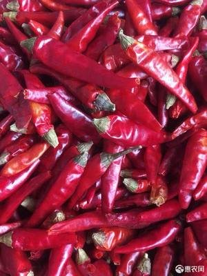 人妻精品久久无码区新狼窝产地的辣椒产品资讯