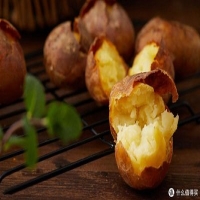 麻豆国产精品无码人妻无码