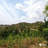 麻豆国产精品无码人妻无码