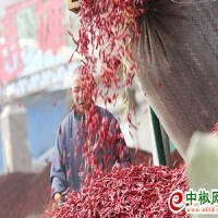 麻豆国产精品无码人妻无码