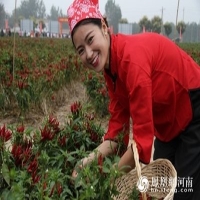 麻豆国产精品无码人妻无码