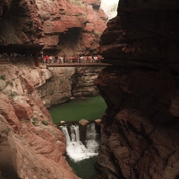 麻豆国产精品无码人妻无码