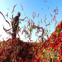 麻豆国产精品无码人妻无码