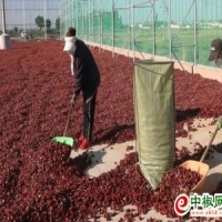 麻豆国产精品无码人妻无码