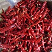 麻豆国产精品无码人妻无码