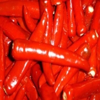 麻豆国产精品无码人妻无码