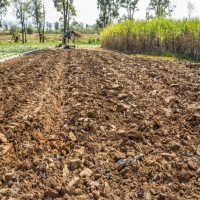 麻豆国产精品无码人妻无码