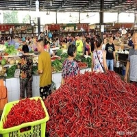 麻豆国产精品无码人妻无码