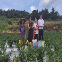 麻豆国产精品无码人妻无码