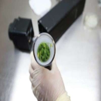 麻豆国产精品无码人妻无码