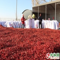 麻豆国产精品无码人妻无码