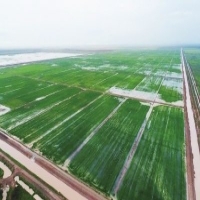 麻豆国产精品无码人妻无码