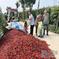 麻豆国产精品无码人妻无码