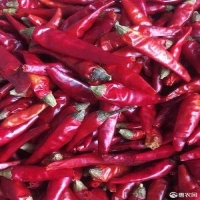 麻豆国产精品无码人妻无码