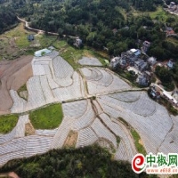 麻豆国产精品无码人妻无码