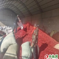 麻豆国产精品无码人妻无码